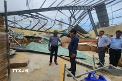 Chủ tịch UBND tỉnh Gia Lai Phạm Anh Tuấn (đội mũ cối) kiểm tra công tác khắc phục bão số 13 ở các doanh nghiệp khu kinh tế Nhơn Hội. (Ảnh: Sỹ Thắng/TTXVN)