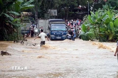 Khu vực Tây Bắc Bộ và Tuyên Quang có mưa rào và dông rải rác, cục bộ có nơi mưa to đến rất to. (Ảnh: TTXVN phát)