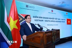 Thủ tướng Phạm Minh Chính phát biểu tại Diễn đàn doanh nghiệp Việt Nam-Nam Phi. (Ảnh: Dương Giang/TTXVN)