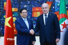 Thủ tướng Phạm Minh Chính hội kiến Chủ tịch Quốc hội Nhân dân Algeria (Hạ viện Algeria) Brahim Boughali. (Ảnh: Dương Giang/TTXVN)