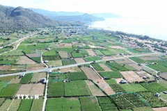 Dự án Nhà máy điện hạt nhân Ninh Thuận 2 dự kiến được xây tại thôn Thái An, xã Vĩnh Hải, huyện Ninh Hải. (Ảnh: Nguyễn Thành/TTXVN)