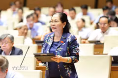 Đại biểu Quốc hội thành phố Hồ Chí Minh Nguyễn Thị Lệ phát biểu. (Ảnh: Minh Đức/TTXVN)