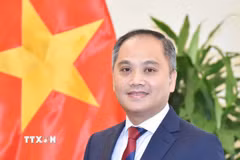 Quan hệ Việt Nam-New Zealand đứng trước nhiều cơ hội phát triển mới