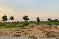 Điều tra nhóm đối tượng nổ súng để giải quyết tranh chấp đất đai ở Krông Nô