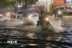 Hầu khắp các khu vực đều có mưa. (Ảnh: An Đăng/TTXVN)