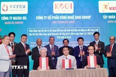 Các đơn vị triển khai dự án sau khi được phê duyệt đầy đủ thủ tục của các cơ quan chức năng liên quan. (Ảnh: Hương Giang/TTXVN)