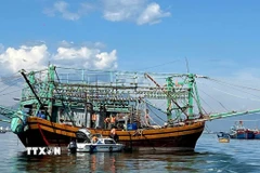 Bộ đội Biên phòng thành phố Đà Nẵng kiểm tra giấy tờ xuất bến của tàu cá. (Ảnh Trần Tĩnh/TTXVN)