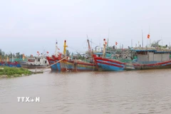 Ảnh minh họa. (Ảnh: Công Luật/TTXVN)