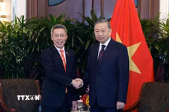 Tổng Bí thư, Chủ tịch nước Tô Lâm tiếp ông Jonathan Yap, Tổng giám đốc Tập đoàn CapitaLand. (Ảnh: Thống Nhất/TTXVN)