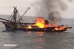 Ảnh minh họa. (Nguồn: PV/Vietnam+)