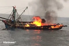 Ảnh minh họa. (Nguồn: PV/Vietnam+)