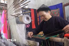 Nghệ nhân Nông Thị Thược luôn đau đáu nỗi niềm gìn giữ và phát huy nghề dệt thổ cẩm truyền thống ở Luống Nọi. (Ảnh: Chu Hiệu/TTXVN)