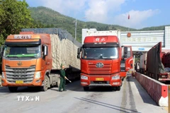 Lưu thông hàng hóa tại cửa khẩu Chi Ma, tỉnh Lạng Sơn. (Ảnh: Văn Đạt/TTXVN)