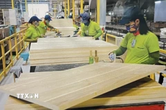 Công nhân nhà máy gỗ chuẩn bị nguồn hàng xuất khẩu. (Ảnh: Hồng Nhung/TTXVN)