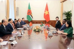 Phó Thủ tướng, Bộ trưởng Bộ Ngoại giao Bùi Thanh Sơn hội đàm với Bộ trưởng Ngoại giao, Ngoại thương, Thương mại và Năng lượng Cộng đồng Thịnh vượng Dominica Vince Henderson. (Ảnh: An Đăng/TTXVN)