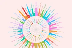 Đơn vị bầu cử và đại biểu HĐND cấp tỉnh, thành phố nhiệm kỳ 2026-2031