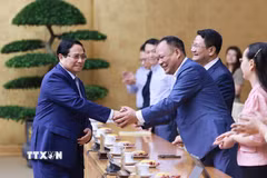 Thủ tướng Phạm Minh Chính gặp mặt đại diện các nhà giáo tiêu biểu toàn quốc. (Ảnh: Dương Giang/TTXVN)