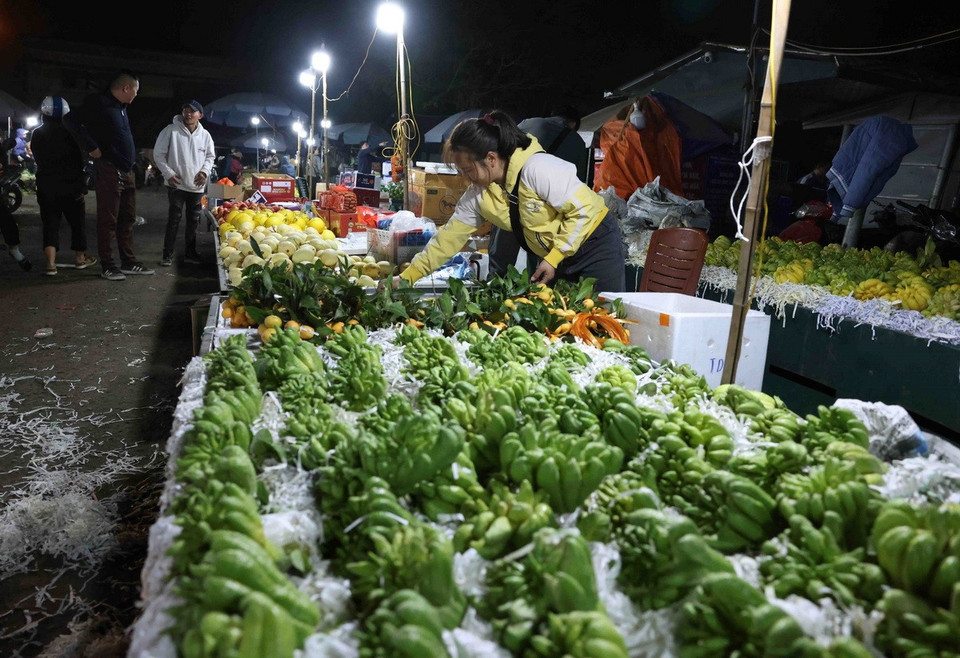Hoạt động mua sắm hàng hoá ở chợ đầu mối nông sản Nam Hà Nội, quận Hoàng Mai những ngày giáp Tết Ất Tỵ 2025. ﻿(Ảnh: Vũ Sinh/TTXVN)