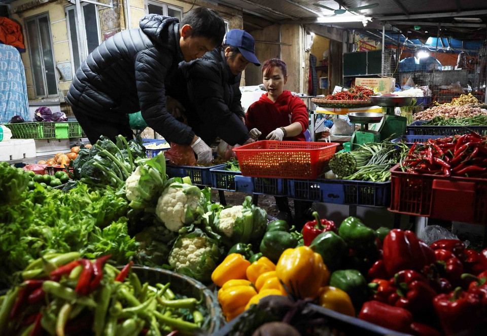 Những ngày này, bình quân mỗi ngày đêm, số hàng hóa từ các chợ trung chuyển cung cấp cho thị trường Thủ đô tăng 20-25%. (Ảnh: Vũ Sinh/TTXVN)