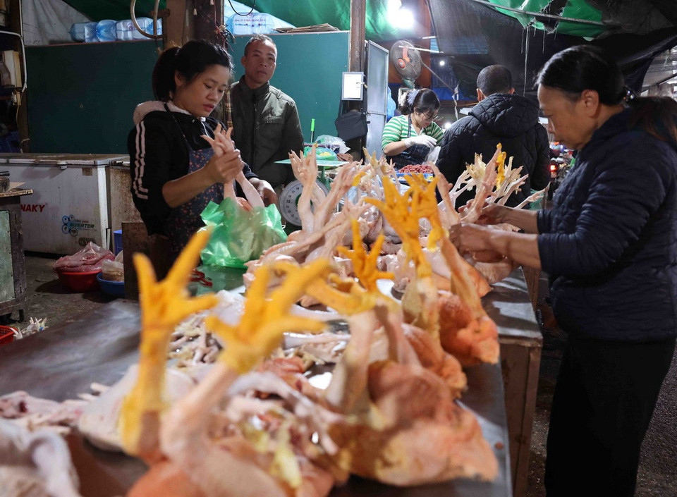 Mỗi ngày đêm hiện nay, chợ đầu mối nông sản Nam Hà Nội, quận Hoàng Mai cung cấp khoảng hơn 100 tấn hàng hoá các loại. (Ảnh: Vũ Sinh/TTXVN)