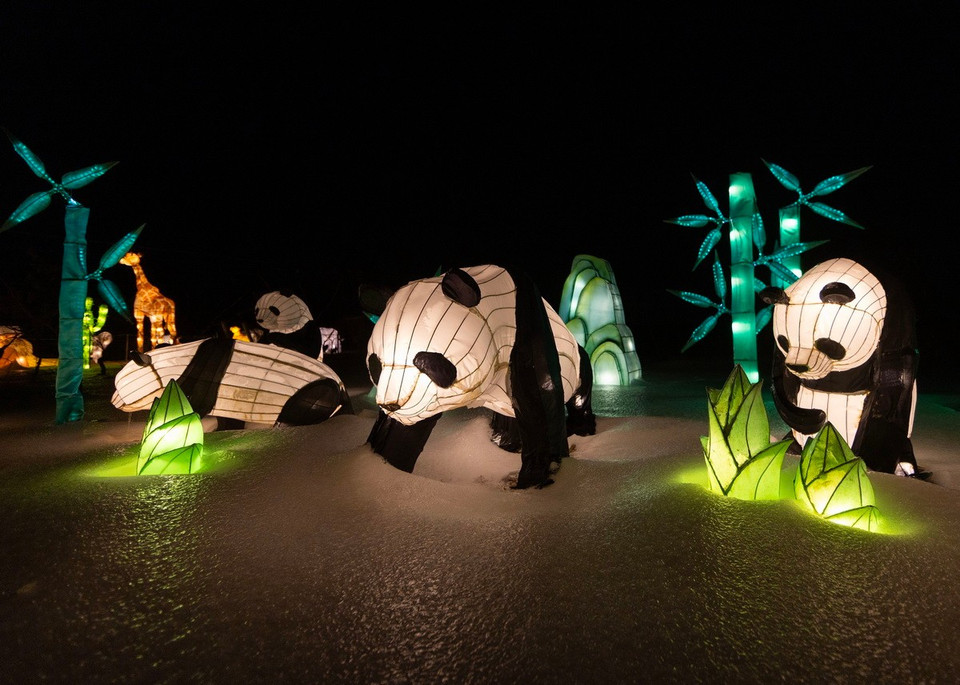 Tạo hình gấu trúc tại Triển lãm ánh sáng quốc tế "Đêm sáng" tại thị trấn Niagara-on-the-Lake, Ontario, Canada. (Nguồn: THX/TTXVN)