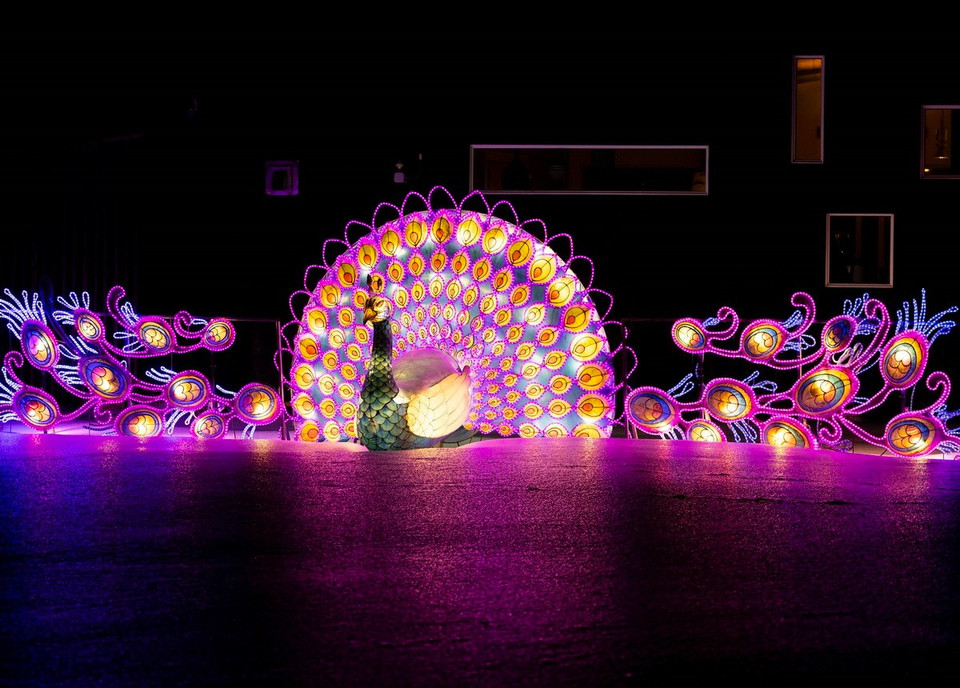 Triển lãm ánh sáng quốc tế mang tên "Đêm sáng" đang diễn ra tại thị trấn Niagara-on-the-Lake, Ontario, Canada, trưng bày các tác phẩm nghệ thuật ánh sáng rực rỡ sắc màu. (Nguồn: THX/TTXVN)