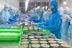 Nhân viên đóng hộp thịt càng ghẹ tại nhà máy Công ty Seaspimex (TP. Hồ Chí Minh) đạt chuẩn Halal. (Ảnh: Khánh Ly/Vietnam+)