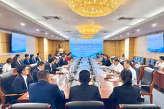 Sự khởi động của VAFIP diễn ra trong bối cảnh Chính phủ đang tạo ra những đòn bẩy chính sách mạnh mẽ để thúc đẩy chuyển đổi xanh và phát triển bền vững cho toàn bộ nền kinh tế. (Ảnh: PV/Vietnam+)