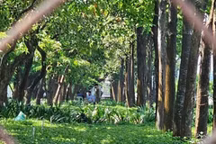 Hiện trường vụ việc. (Ảnh: CTV cung cấp)