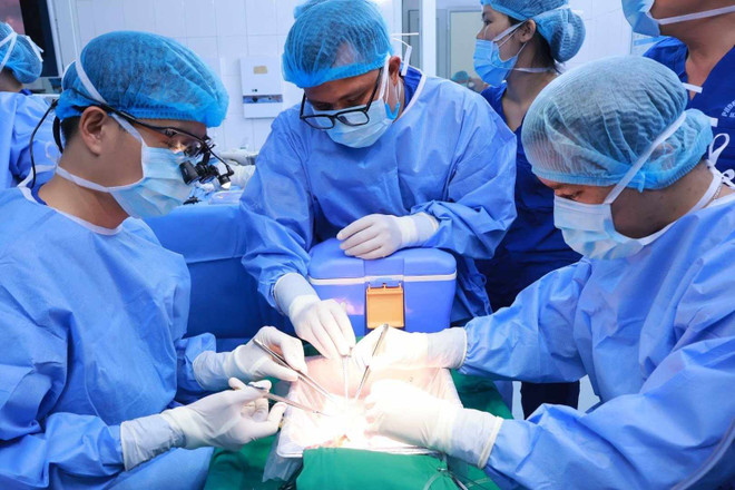 Cần có chiến lược bền vững về nguồn hiến tạng từ người cho chết não ảnh 2