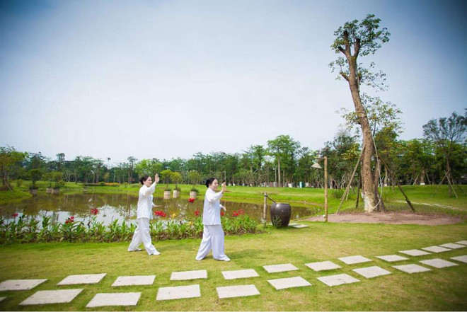 Gần 70% người cao tuổi Việt Nam có tình trạng sức khỏe yếu và rất yếu ảnh 2