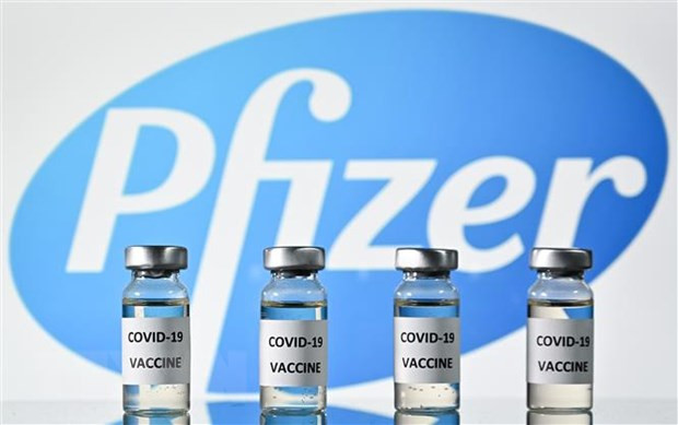 Việt Nam sẽ có 31 triệu liều vaccine của Pfizer vào quý 3-4/2021 ảnh 1