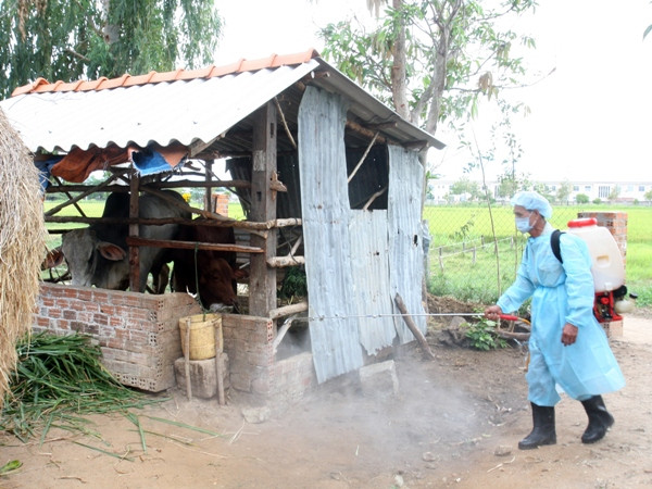 Phòng chống bệnh truyền nhiễm, dịch bệnh phát sinh sau bão ảnh 1