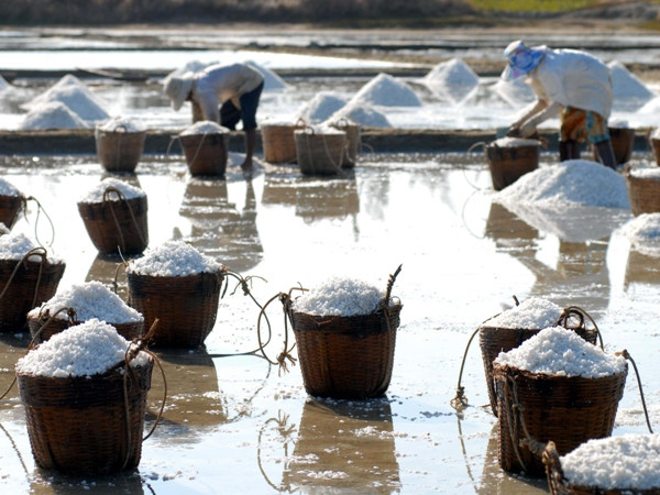 WHO kêu gọi người dân Việt Nam không nên lạm dụng muối ảnh 1