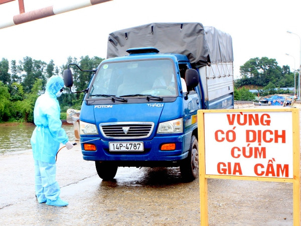 70% các bệnh truyền nhiễm lây sang người là bệnh mới nổi ảnh 1