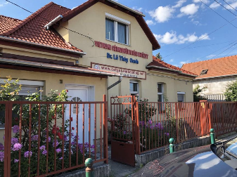 Người đưa kỹ thuật “Cấy chỉ Việt Nam” rạng danh khắp châu Âu ảnh 2