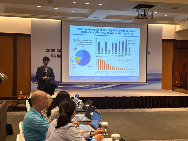 Các đại biểu trình bày tại hội thảo. (Ảnh: PV/Vietnam+) hoi thao.jpeg