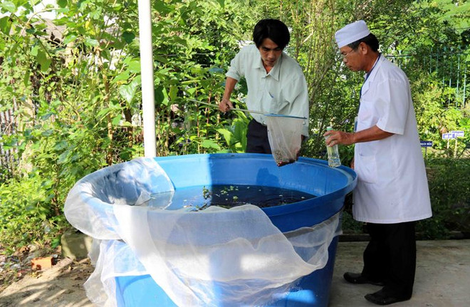 Sốt xuất huyết diễn biến phức tạp, Bộ Y tế lập 8 đoàn kiểm tra ảnh 1