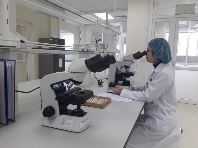 Không ghi nhận dịch bệnh nguy hiểm xâm nhập trong dịp Tết ảnh 1