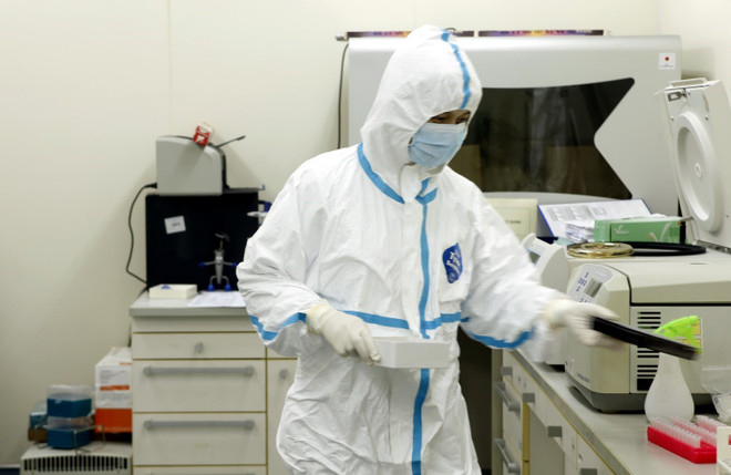 Bộ Y tế yêu cầu tăng cường biện pháp phòng, chống dịch bệnh dịp Tết ảnh 1