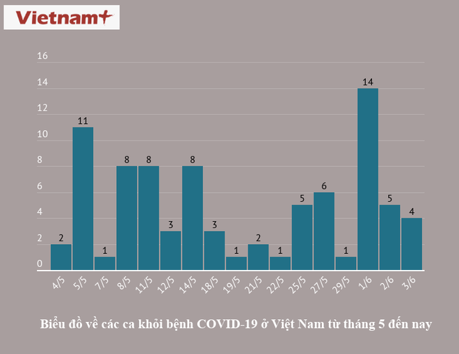 Bệnh nhân 19 xuất viện về nhà, thêm 4 ca mắc COVID-19 khỏi bệnh ảnh 1