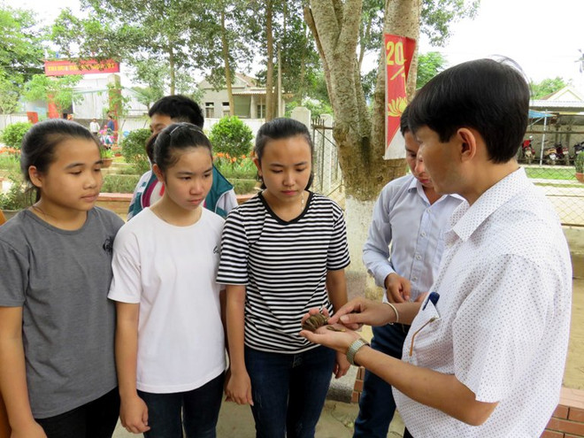 Phòng ngừa ngộ độc do ăn hoa, quả được trồng trong trường học ảnh 1