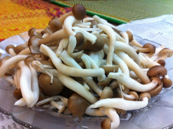 Tổng kiểm tra 12 cơ sở kinh doanh, sản xuất nấm tại Hà Nội ảnh 1