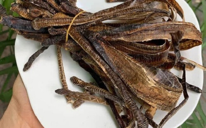 Bộ Y tế chưa cấp phép sản phẩm liên quan giun đất chữa COVID-19 ảnh 1