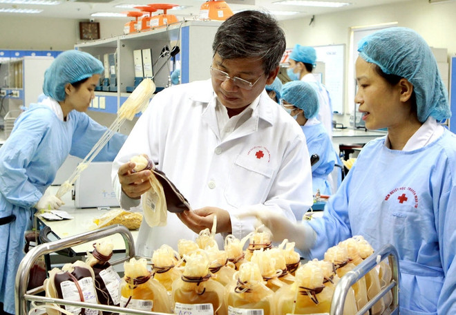 Một học sinh ở Hải Phòng được thanh toán bảo hiểm y tế 1,8 tỷ đồng ảnh 1