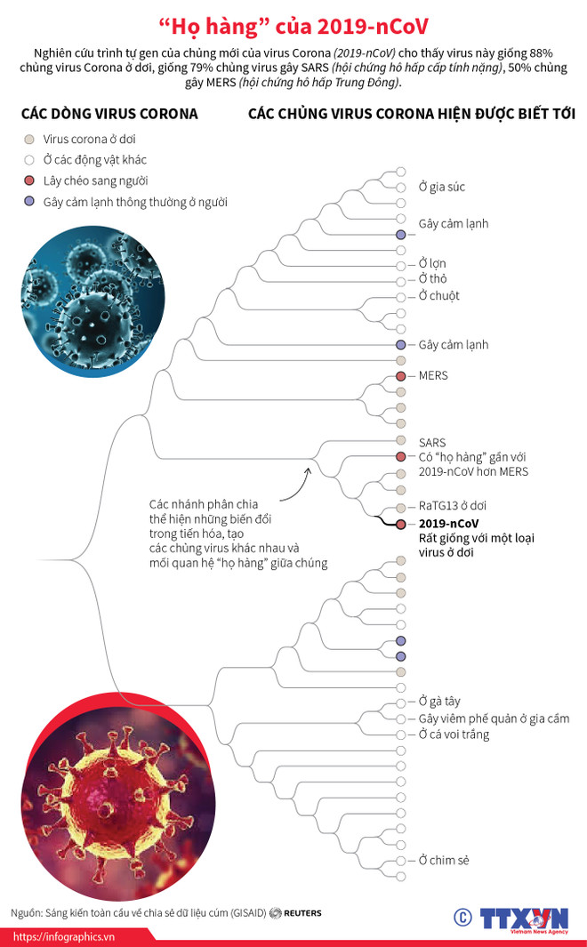 Việt Nam chống COVID-19: Cuộc 'tấn công thần tốc' của virus SARS-CoV-2 ảnh 2