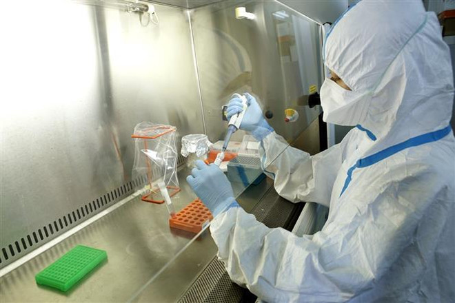 Nhật Bản hỗ trợ Việt Nam phòng chống dịch bệnh do virus corona ảnh 1