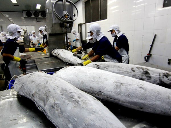 WHO: Báo động tồn dư kháng sinh trong thực phẩm ở Việt Nam ảnh 1