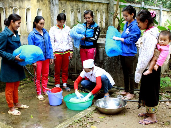 Gần 12 triệu người Việt Nam sống trong khu vực có bệnh sốt rét ảnh 1