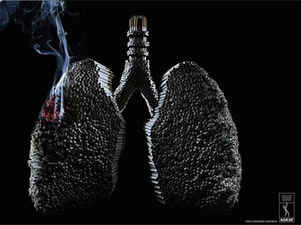 [Video]: "Hút thuốc lá sẽ làm phổi bạn đen như bồ hóng" ảnh 1